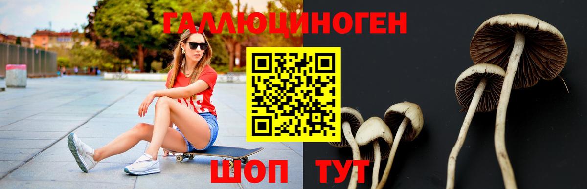 наркотики  Псилоцибиновые грибы GOLDEN TEACHER  Псилоцибиновые грибы мицелий  Вход с VPN  Биробиджан 